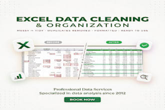 organize, clean and format your excel spreadsheets