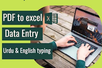 do urdu english data entry, pdf to excel