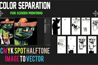 do separation color for screen printing cmyk spot simulation n vectorize
