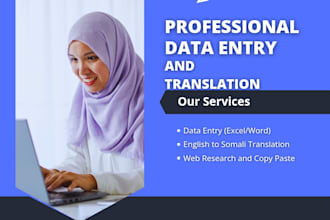 do professional data entry and english to somali translation