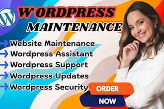 do wordpress maintenance wordpress assistant wordpress update wordpress security