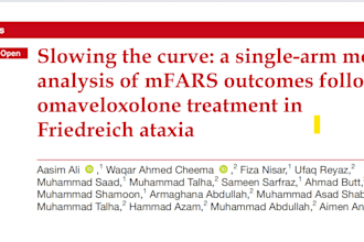 systematic review or meta analysis research project