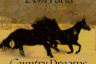 sing country and alt country