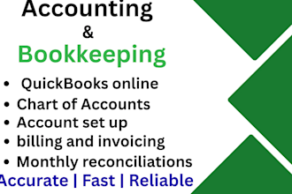 provide professional bookkeeping and accounting services