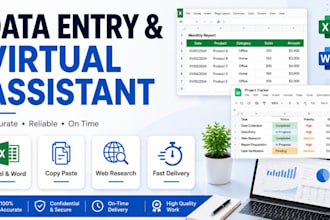 be your expert data entry