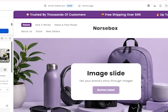 design a premium shopify website and marketing