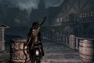 professionally install and set up skyrim mods for you