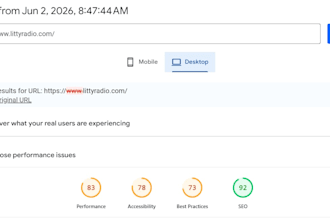 professional SEO and performance analysis