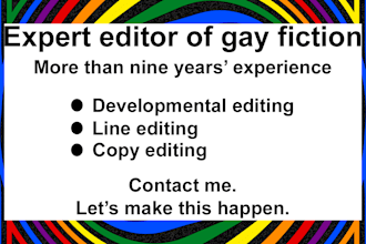 provide an expert edit of your gay novel
