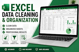 clean, organize and format excel spreadsheets