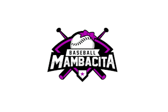 create exciting baseball themed logo