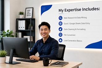 be your professional virtual assistant for data entry and visual tasks