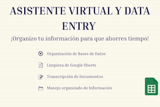 seré tu asistente virtual para introducción de datos