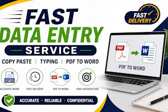 do accurate data entry, copy paste, data typing and ms excel work