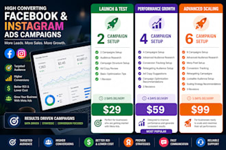 bulid facebook and insta ads focused on ROI with optimize