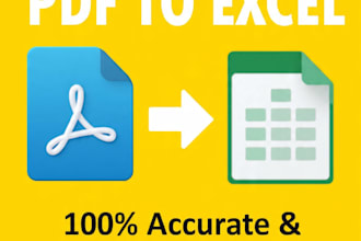 convert PDF to excel accurately in 24h