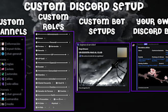 create and set up a discord servers with bots