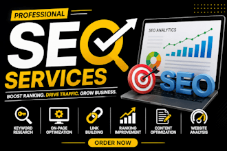 provide professional SEO services