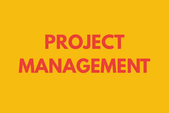 do project management with clickup asana monday crm