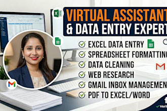 do professional excel data entry and gmail management