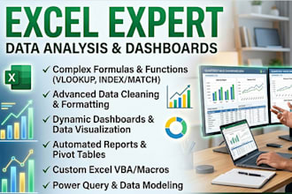 do professional data entry and microsoft excel formatting
