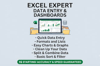 do professional data entry and microsoft excel formatting