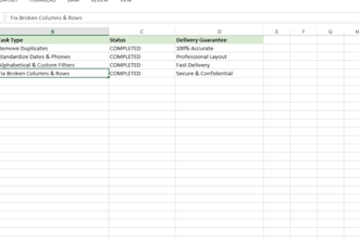 do professional excel data cleaning, formatting, and data sorting