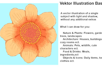 draw illustrations, drawings, vektor illustrations