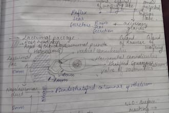 teach you physiology, pathology