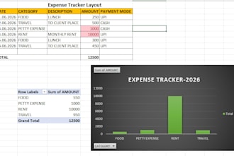 create a professional excel expense tracker for your business