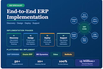 provide expert erp consulting, implementation, and business process optimization