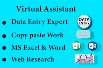 expert virtual assistant for data entry and ms office tasks