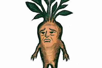 create vintage botanical illustrations for childrens books