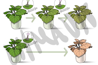 create design accurate scientific figures and diagrams