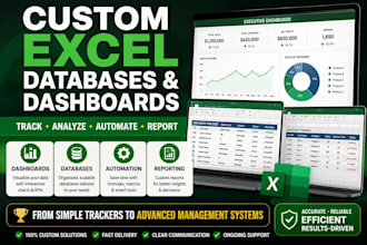 build a custom excel dashboard, tracker, or database