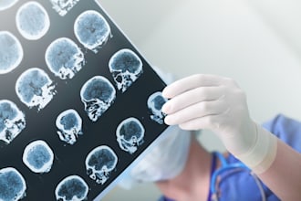 translate and review medial documents and images from any language