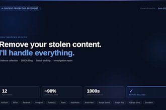submit dmca takedowns to remove stolen content