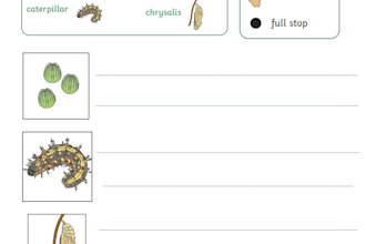design interactive science worksheets for primary students