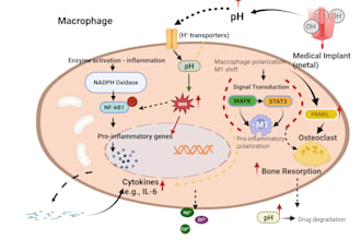 create professional graphical abstracts and scientific illustrations