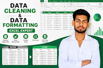 clean, format and organize excel data professionally
