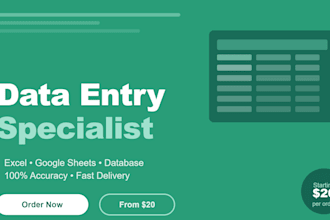 do fast data entry and excel spreadsheet work