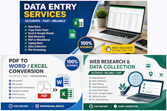 do data entry, sorting and cleaning professionally