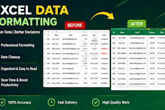 do data formatting with accuracy and in 1 day