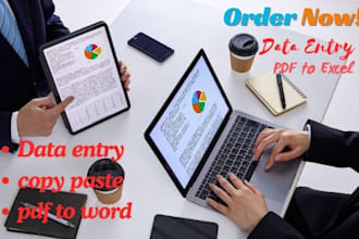 do 3 hours of accurate data entry, copy paste work