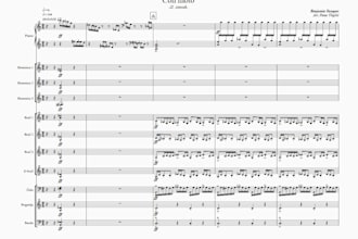 transcribe sheet music into sibelius