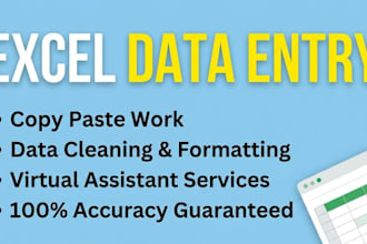professional excel data entry, VA and copy paste work