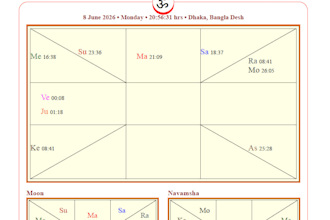 provide accurate vedic astrology horoscope reading and prediction