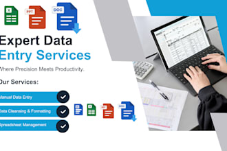 do professional data entry, web research and excel data cleaning
