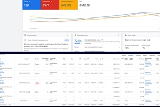 paid media buying , google , meta ads expert