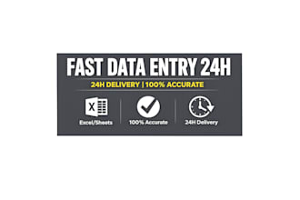 do accurate data entry and excel spreadsheet work fast